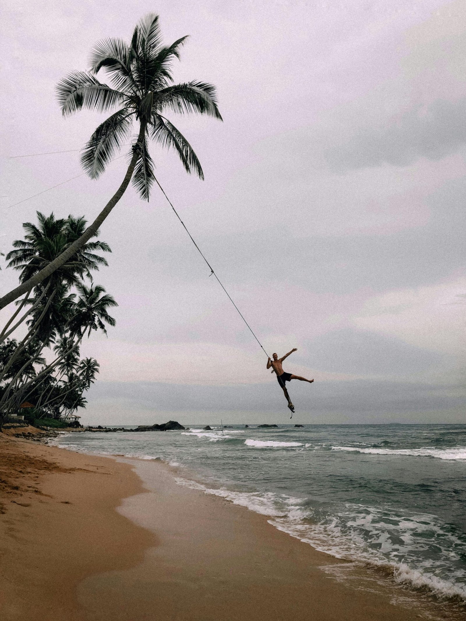 A man swings on a rope from a palm tree over a tropical beach, enjoying an adventurous day by the sea.